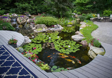 Koi Ponds and Waterfall Installer near me