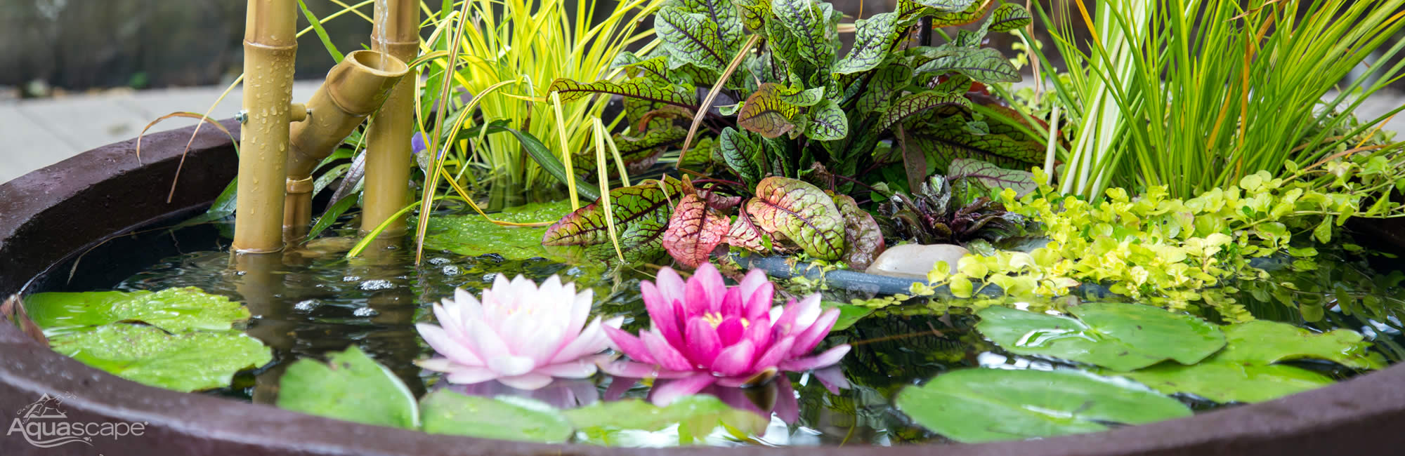 Ecosystem Pond Installation