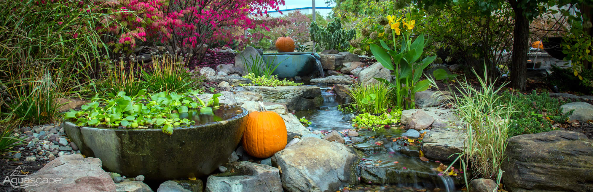 Ecosystem Pond Installation